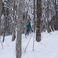 la photo des activités hivernales